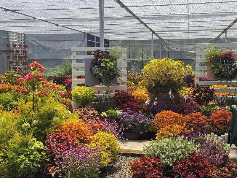 Flowerhome image