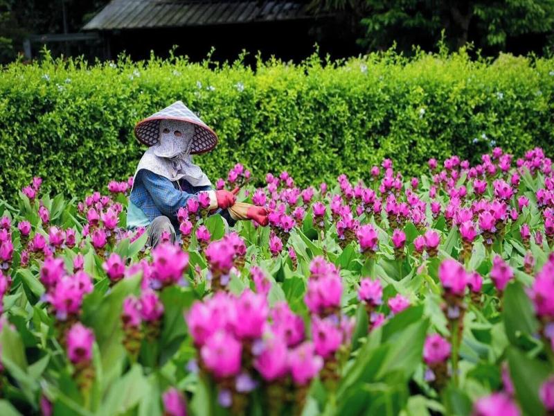 Flowerhome image