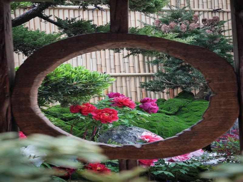 Flowerhome image
