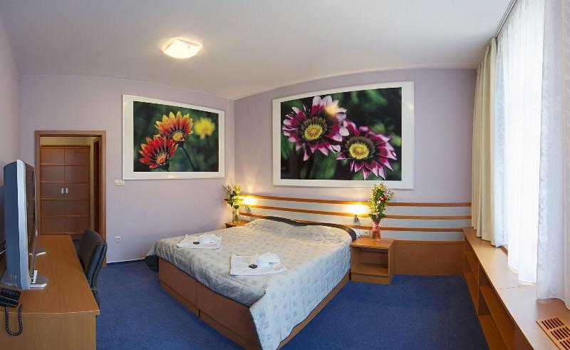Air Hotel image