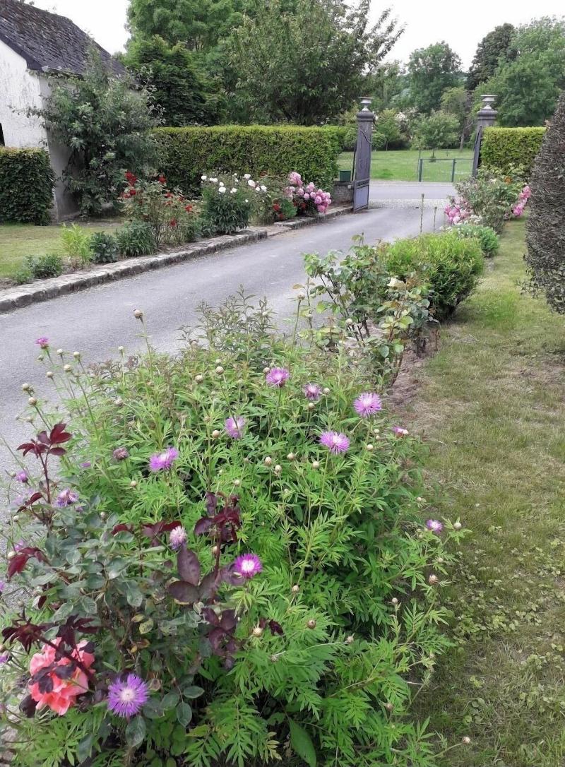 Chambres d'hôtes d'Origny-en-Thierache image