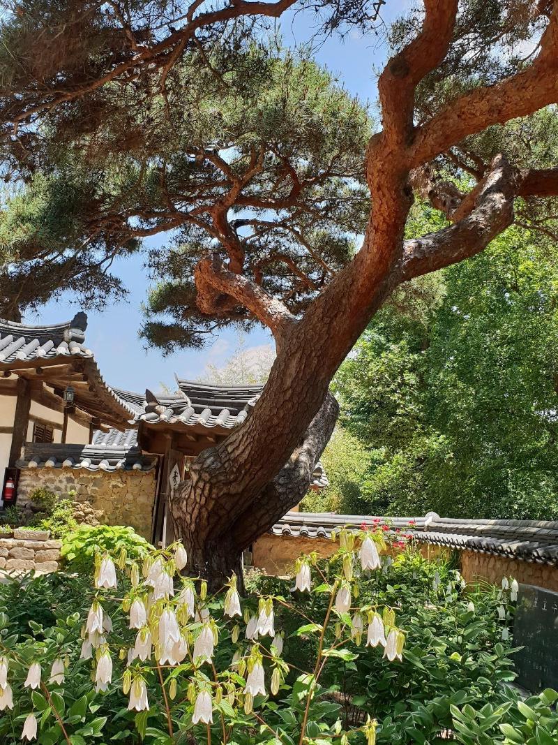 Okyeon Pavilion image