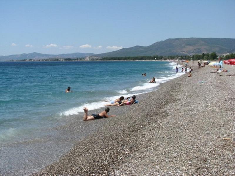Selim Sultan Otel