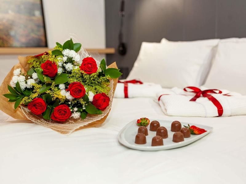 Novotel Criciuma image