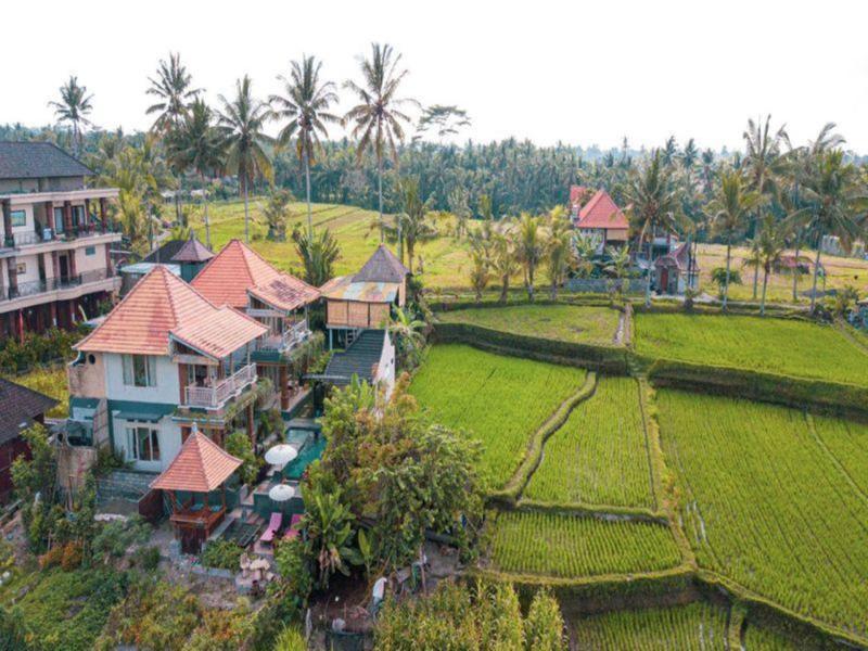 Raditya Villa Ubud image