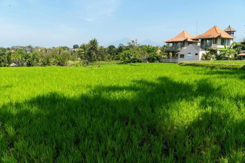 Raditya Villa Ubud image