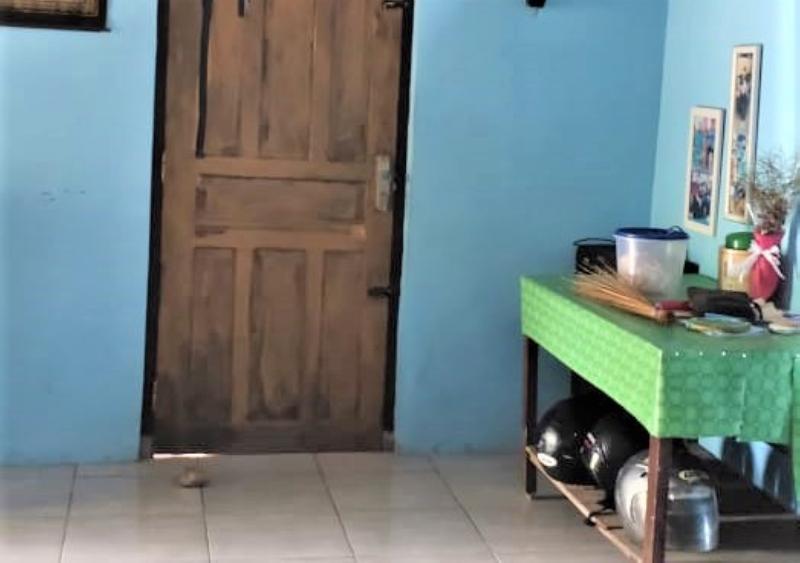 Homestay Lentera Putra by ZUZU