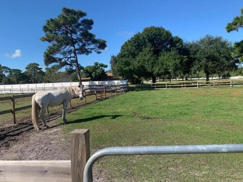 OYO Family Ranch at Melbourne FL