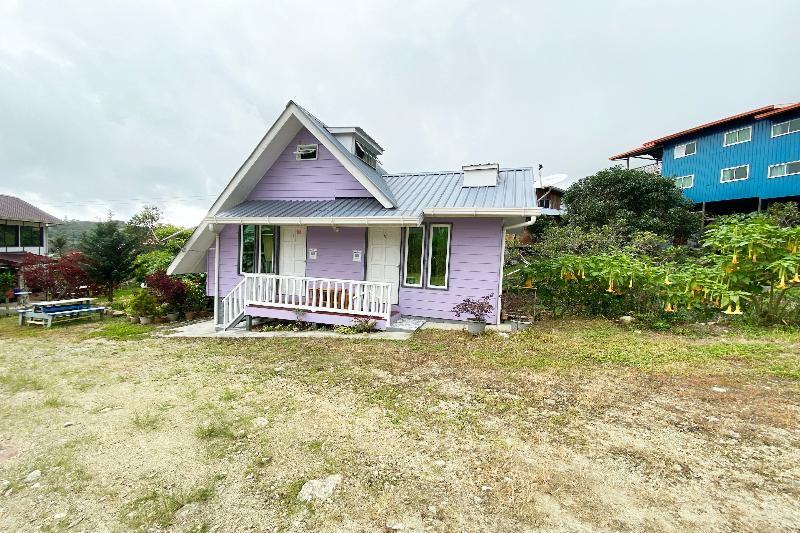 Midori Homestay — photo 3