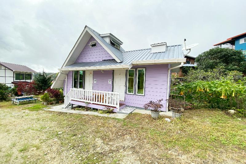 Midori Homestay — photo 4
