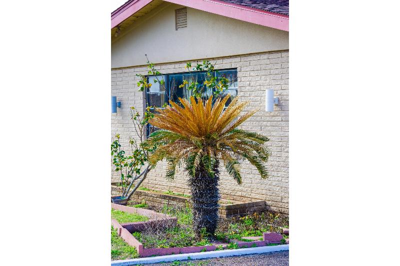 Capital O Hotel Beeville -US 181 image