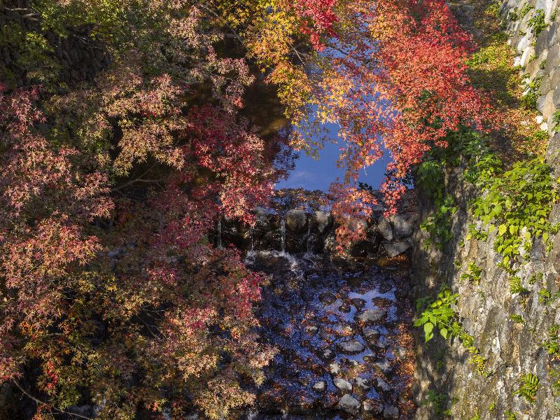 ROKU KYOTO, LXR Hotels & Resorts image