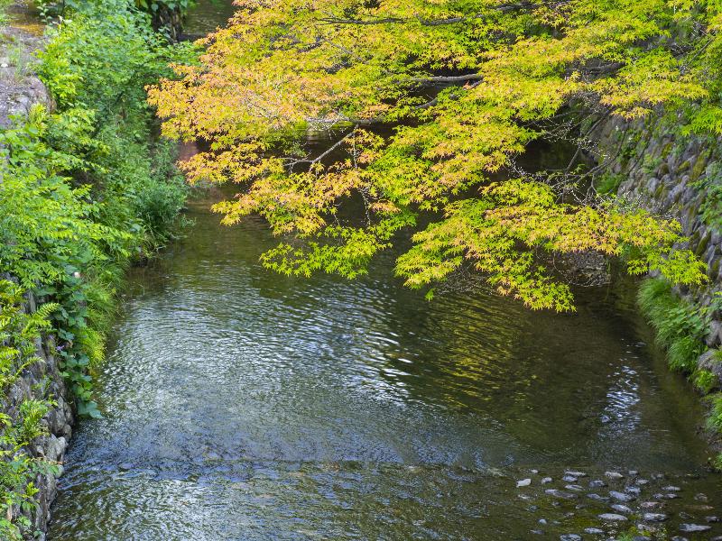 ROKU KYOTO, LXR Hotels & Resorts image