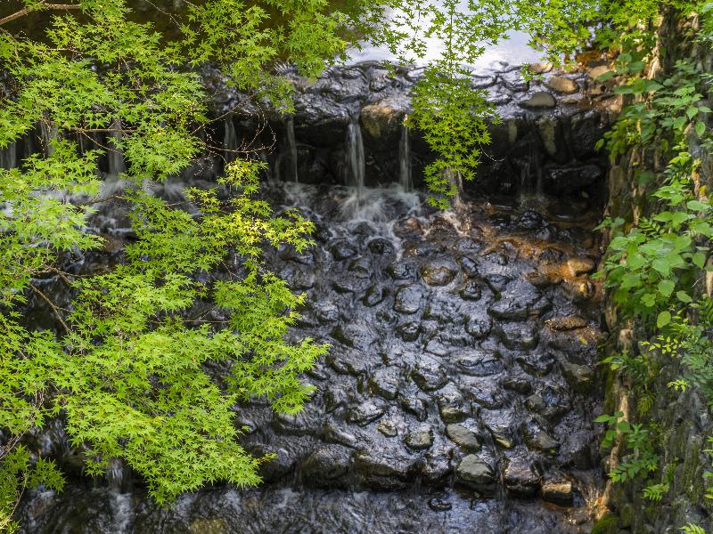 ROKU KYOTO, LXR Hotels & Resorts image
