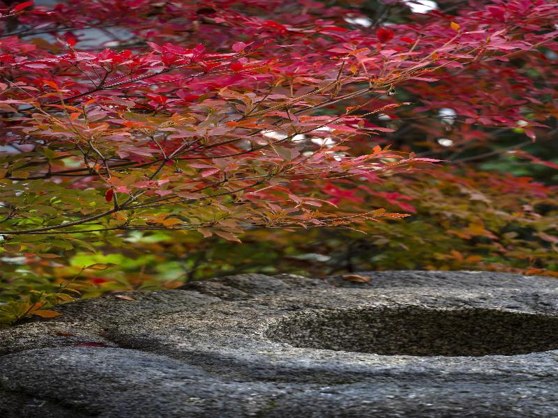 ROKU KYOTO, LXR Hotels & Resorts image