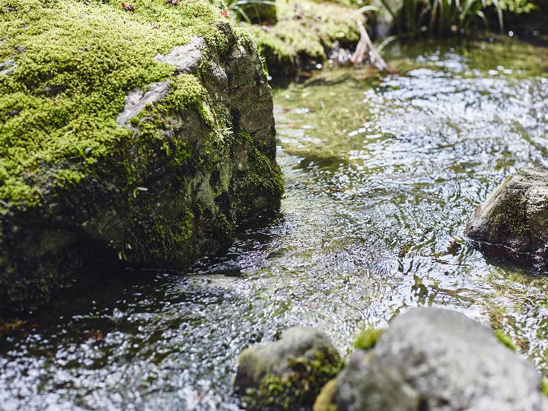ROKU KYOTO, LXR Hotels & Resorts image