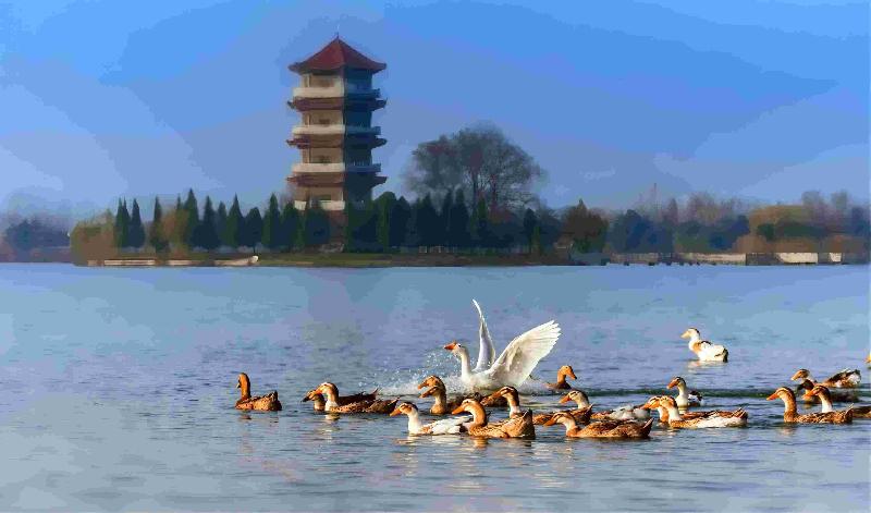 Holiday Inn Fuyang image
