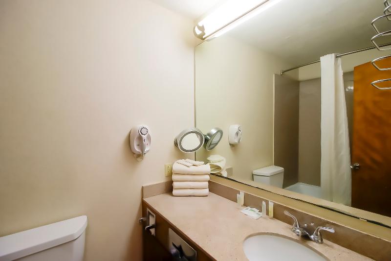 OYO Pinewood Inn & Suites Silsbee image