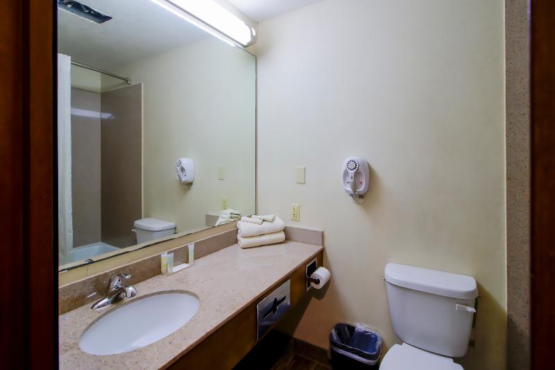 OYO Pinewood Inn & Suites Silsbee image
