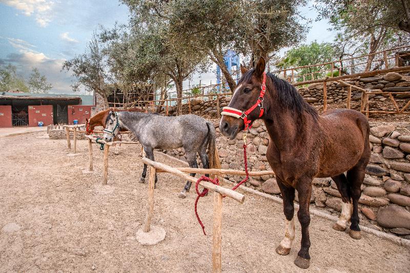 La Fattoria Ecolodge image