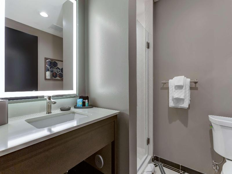 Vib Best Western Tempe image