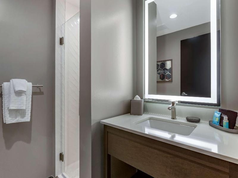 Vib Best Western Tempe image