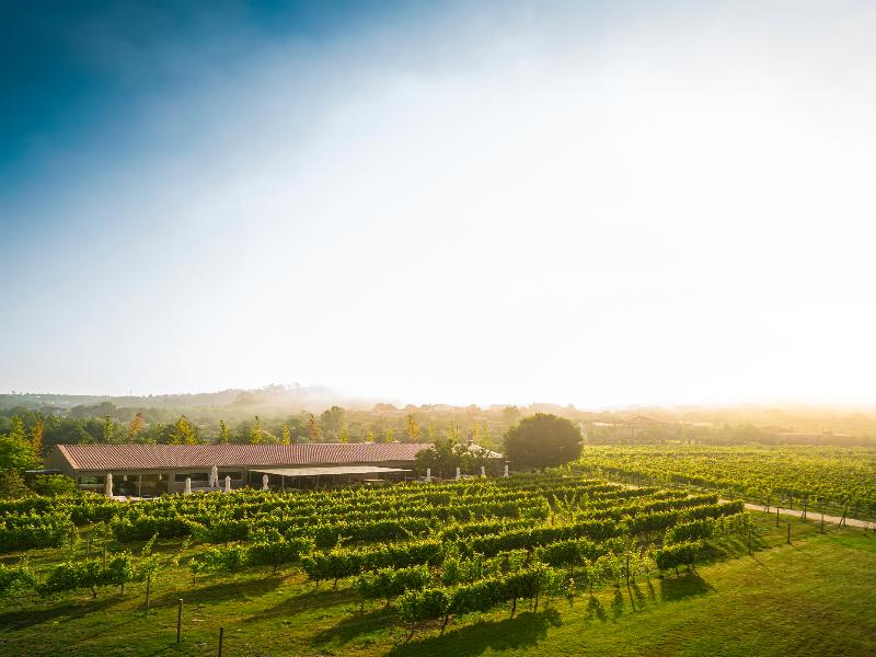 Lavandeira Douro Nature and Wellness image