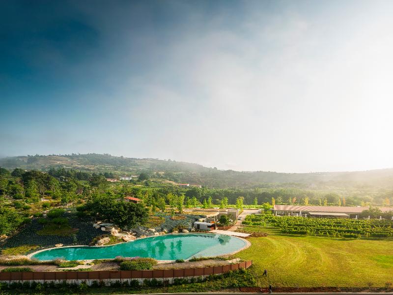 Lavandeira Douro Nature and Wellness image