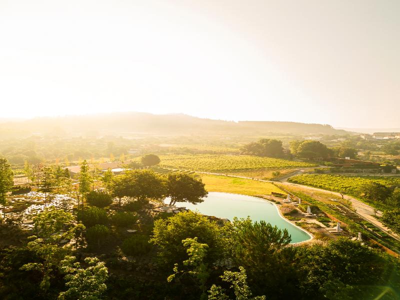 Lavandeira Douro Nature and Wellness image