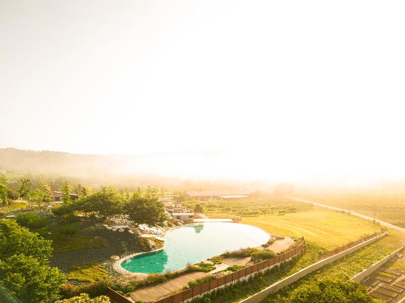 Lavandeira Douro Nature and Wellness image