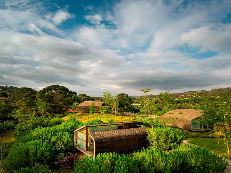 Lavandeira Douro Nature and Wellness image