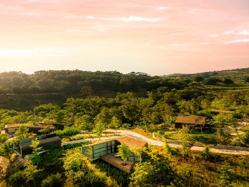 Lavandeira Douro Nature and Wellness image