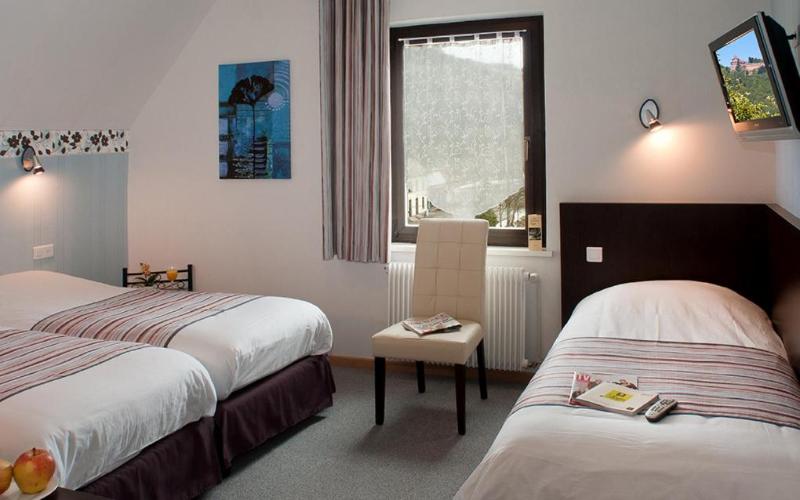 Logis Hotel Des Vosges image