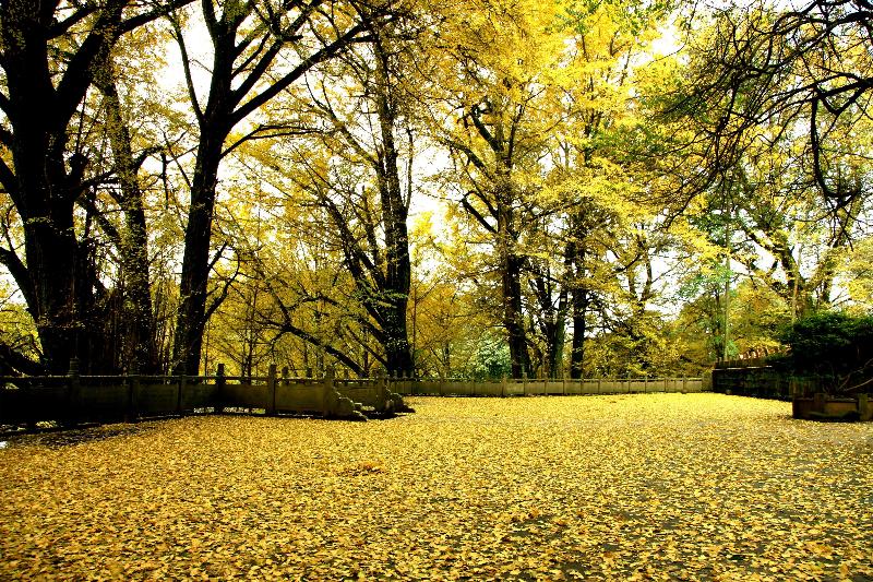 Holiday Inn Resort Mengding Mountain