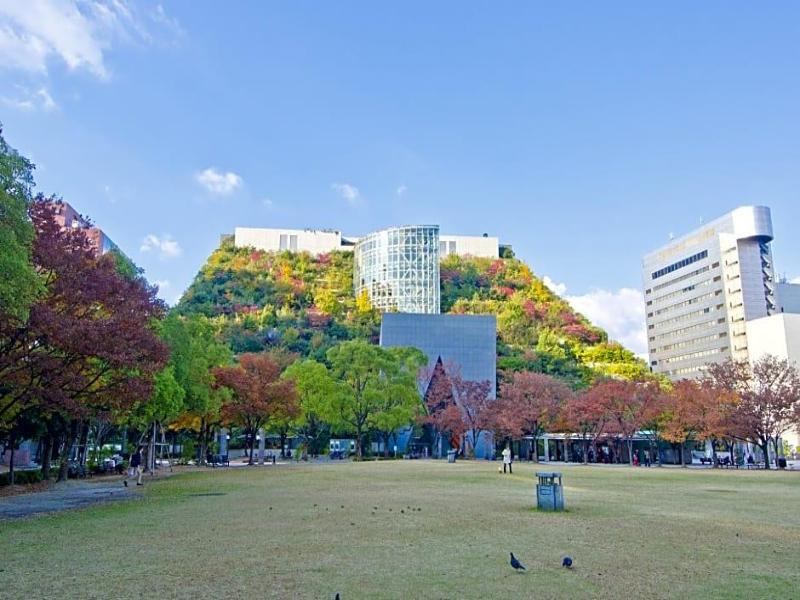 Hotel Cocon image