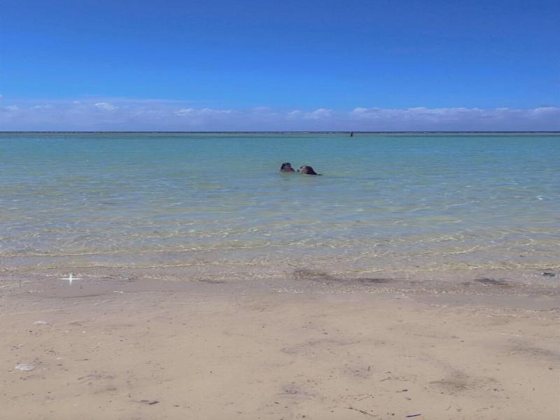 Costa Linda Beach Hotel image