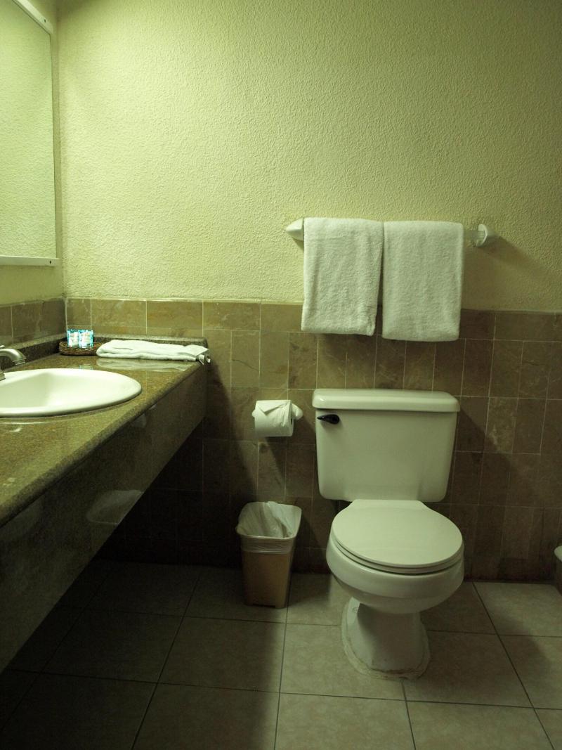 La Quinta Hotel image