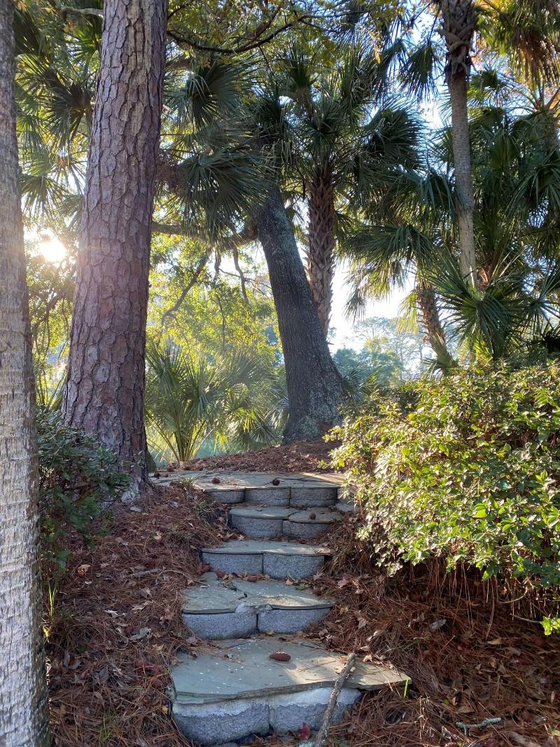 The Village At Palmetto Dunes image