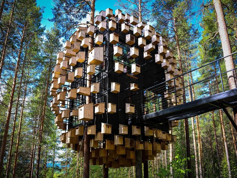Tree Hotel