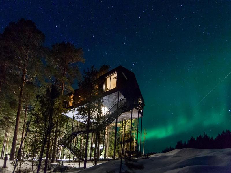 Tree Hotel