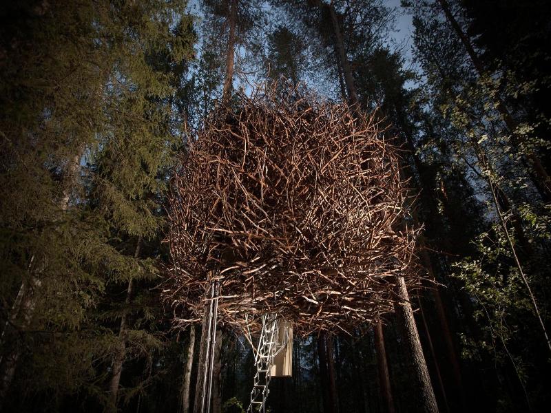 Tree Hotel