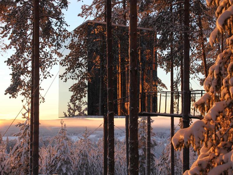 Tree Hotel