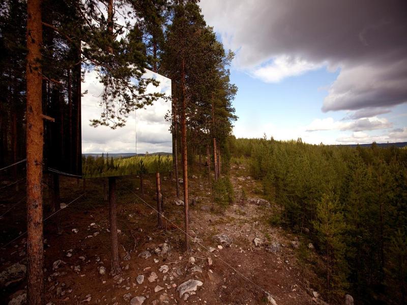 Tree Hotel