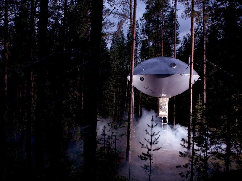Tree Hotel