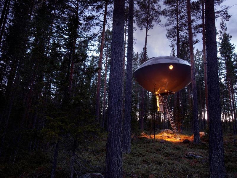Tree Hotel