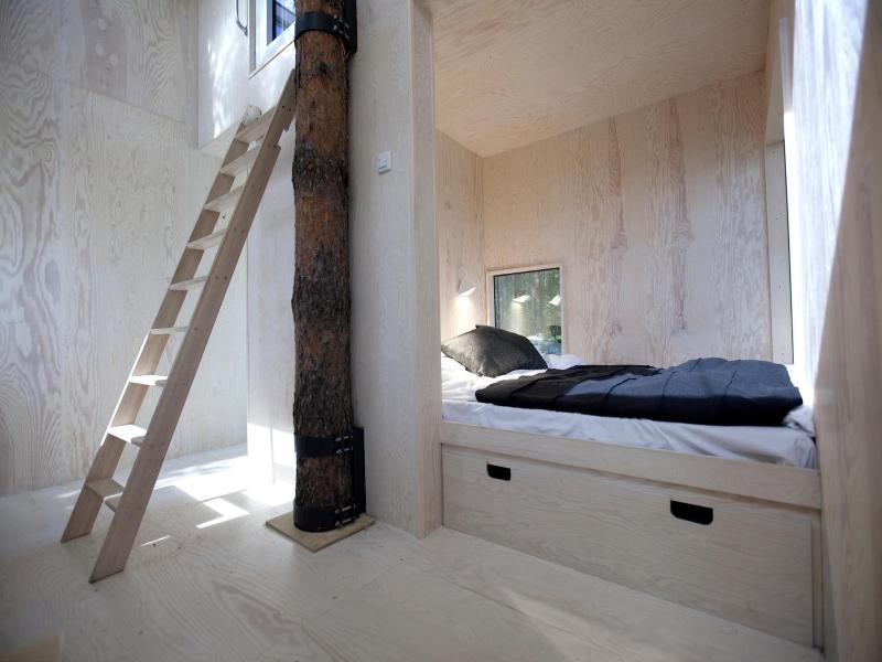 Tree Hotel