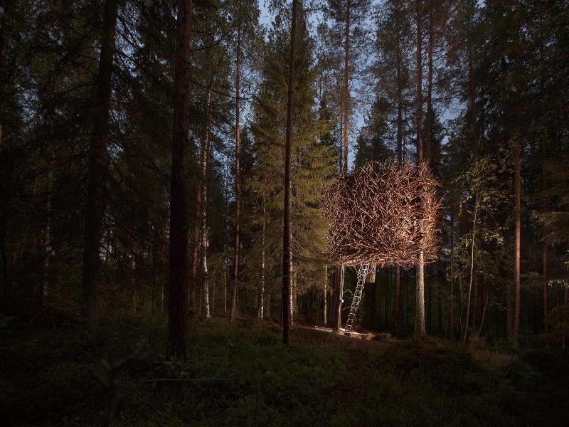 Tree Hotel