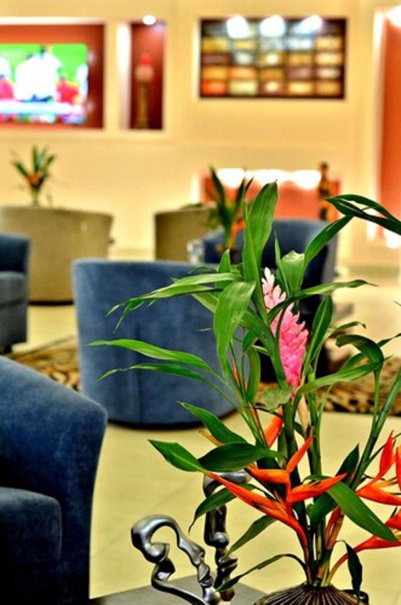 The Cape Hotel image