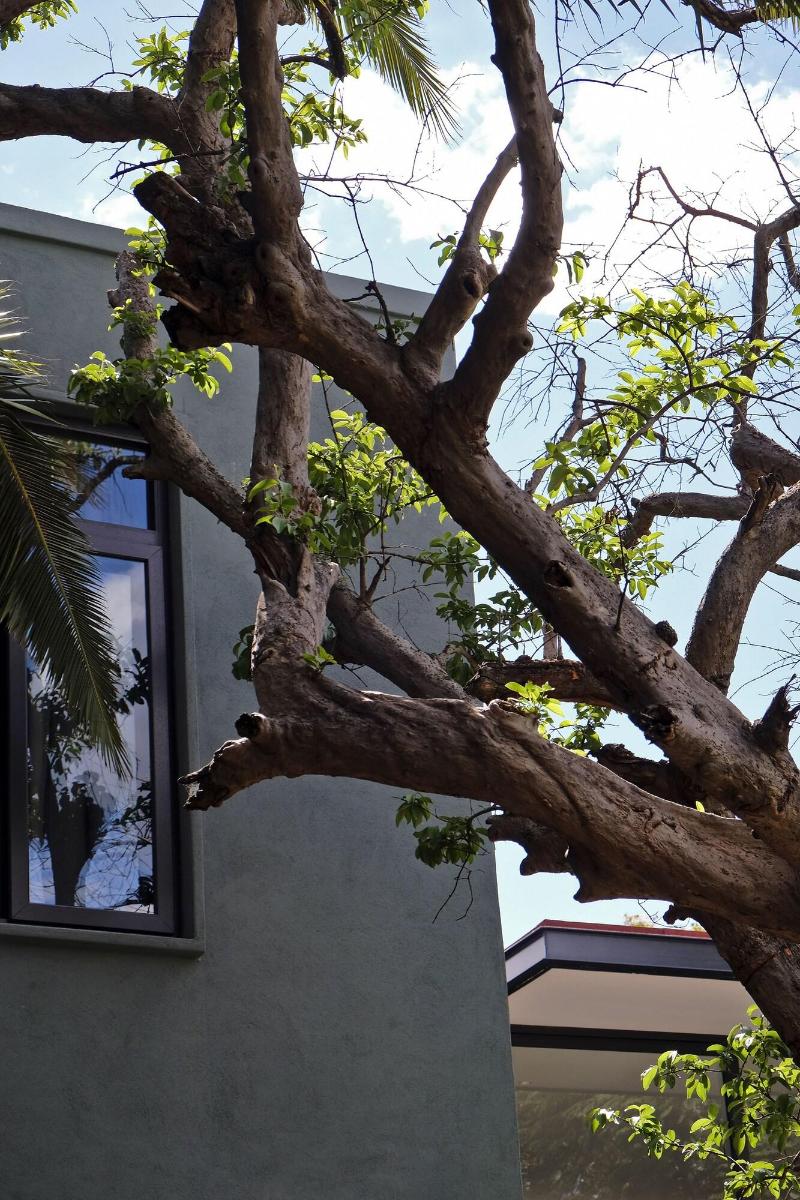 El CallejÃ³n Hotel Boutique