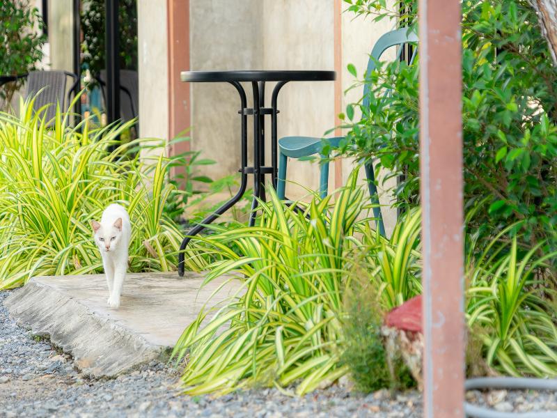 Malinee Resort by ZUZU image